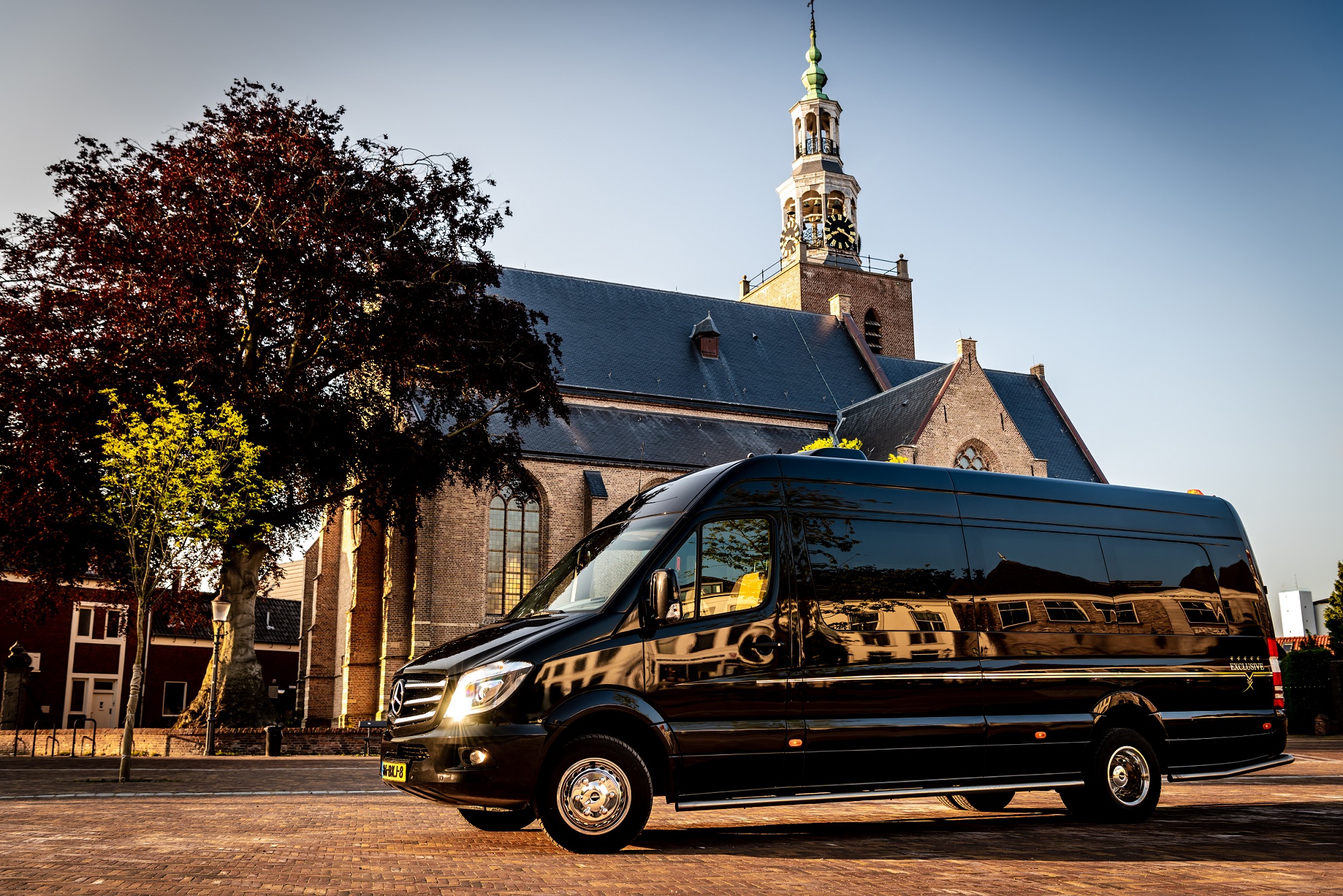 vip travel & limousine services amsterdam